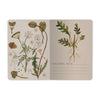 BV by Bruno Visconti - Small Notebook  Greens and Flowers 