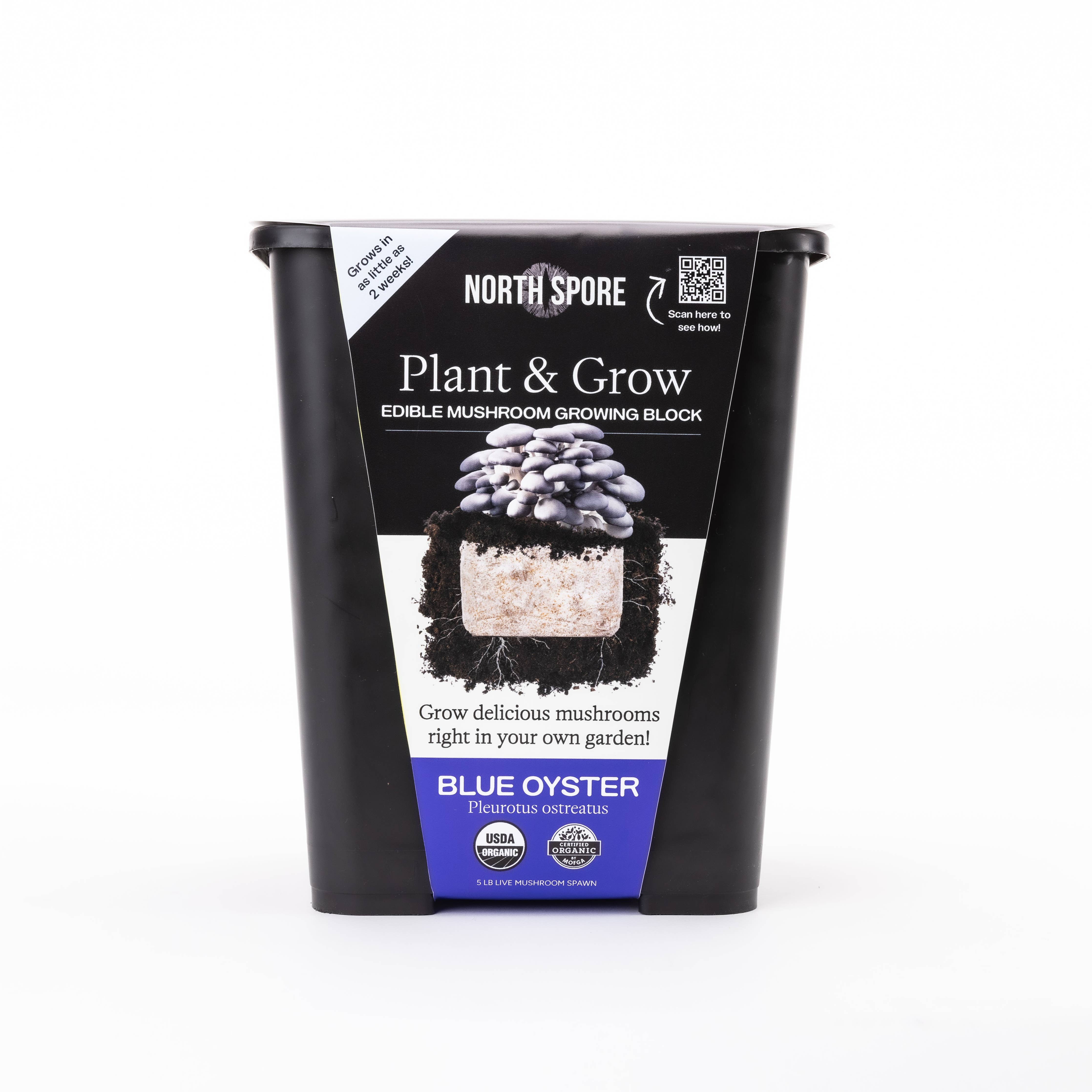 North Spore - Blue Oyster Mushroom Plant & Grow