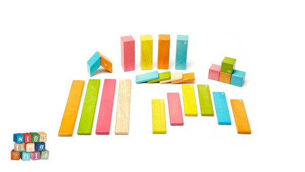 Tegu - 24 Piece Magnetic Wooden Block Set