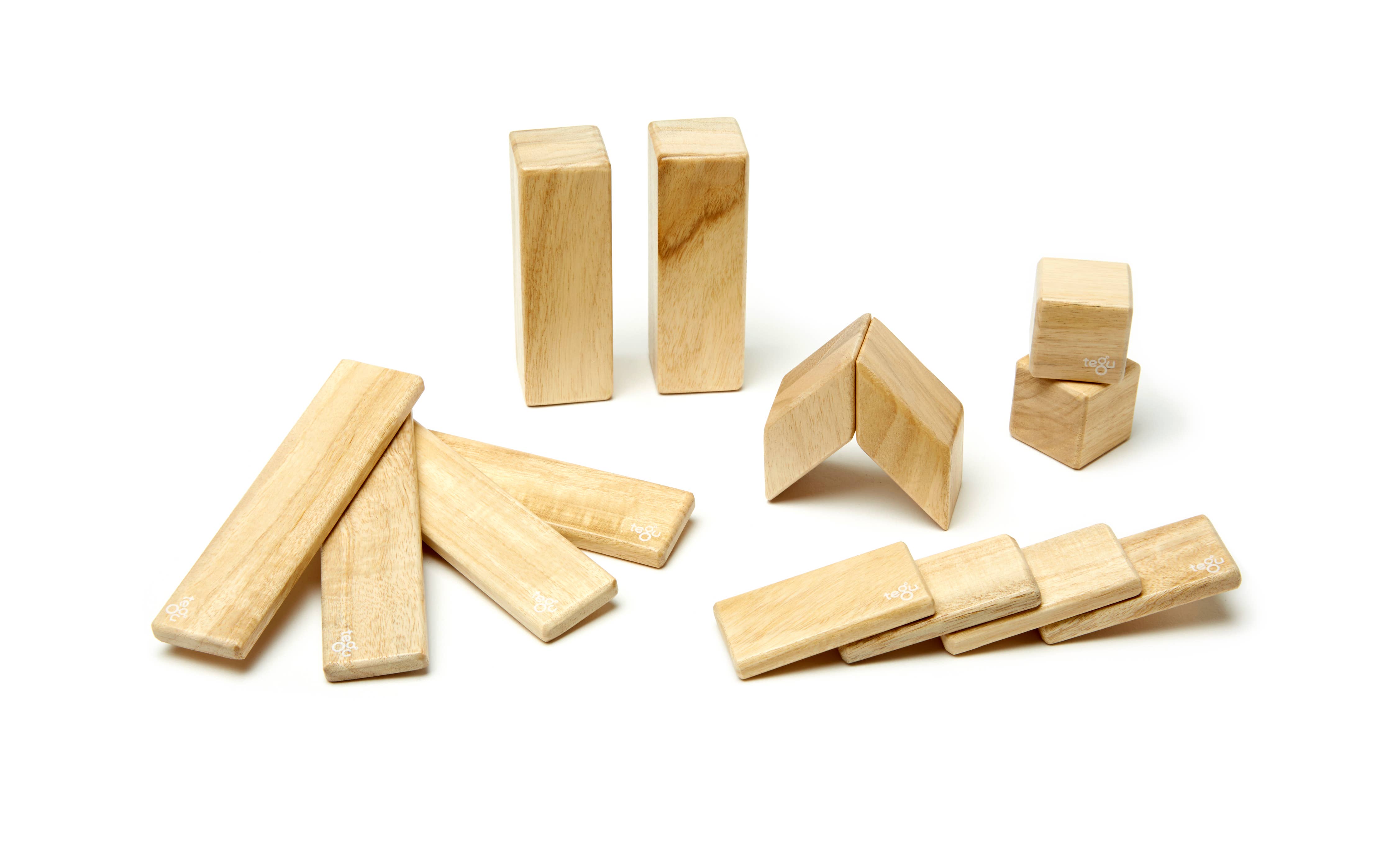 Tegu - 14 Piece Magnetic Wooden Block Set