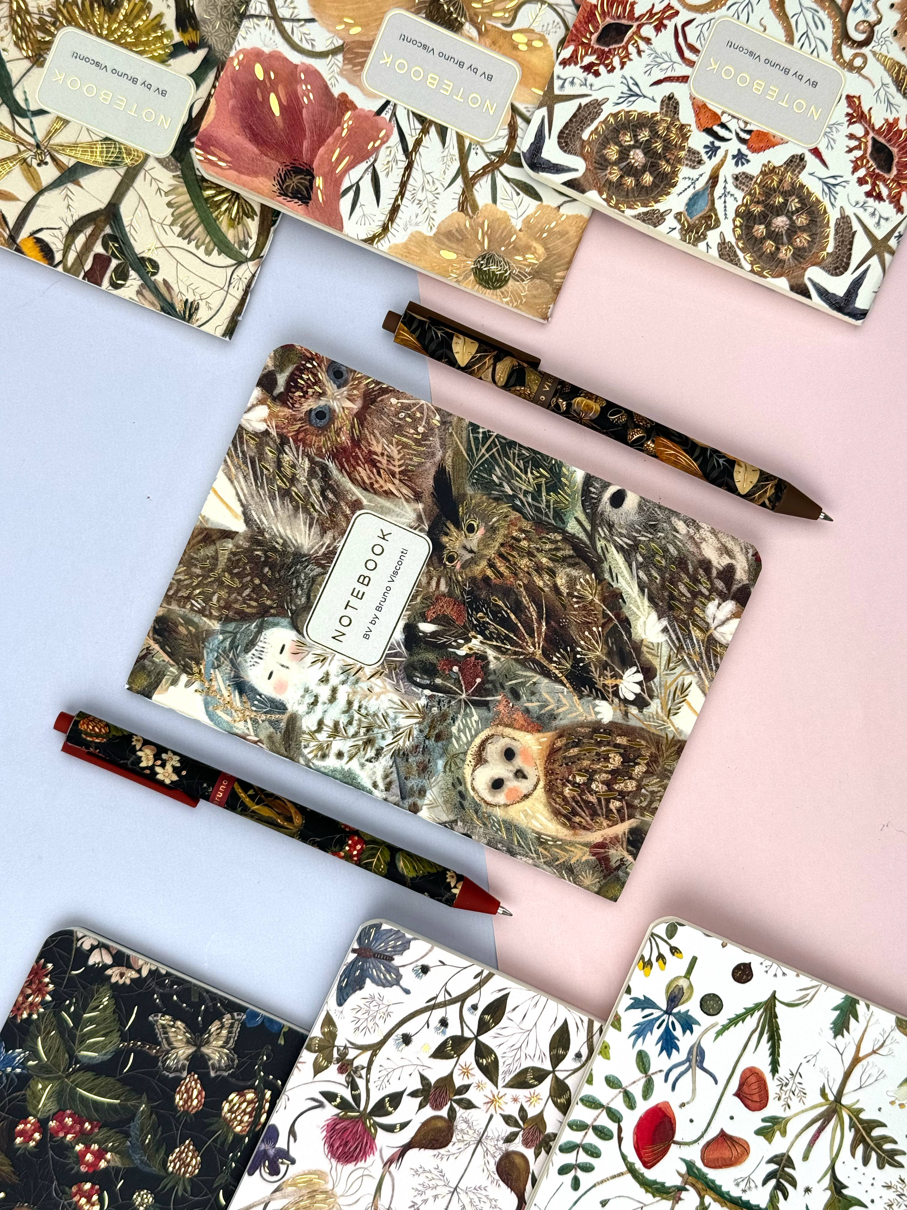 BV by Bruno Visconti - Owls Notebook