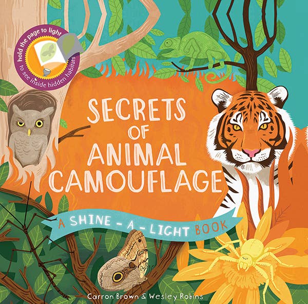 EDC Publishing - Shine-A-Light, Secrets of Animal Camouﬂage