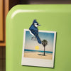 Danforth Pewter | Handcrafted Heirloom Quality Gifts - Blue Jay Magnet | Handmade Pewter | Bird Lover Gift