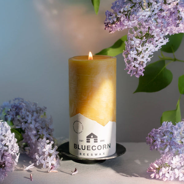 Bluecorn Candles - Beeswax Pillar Candles - 100% Pure, Dripless, 8 Sizes