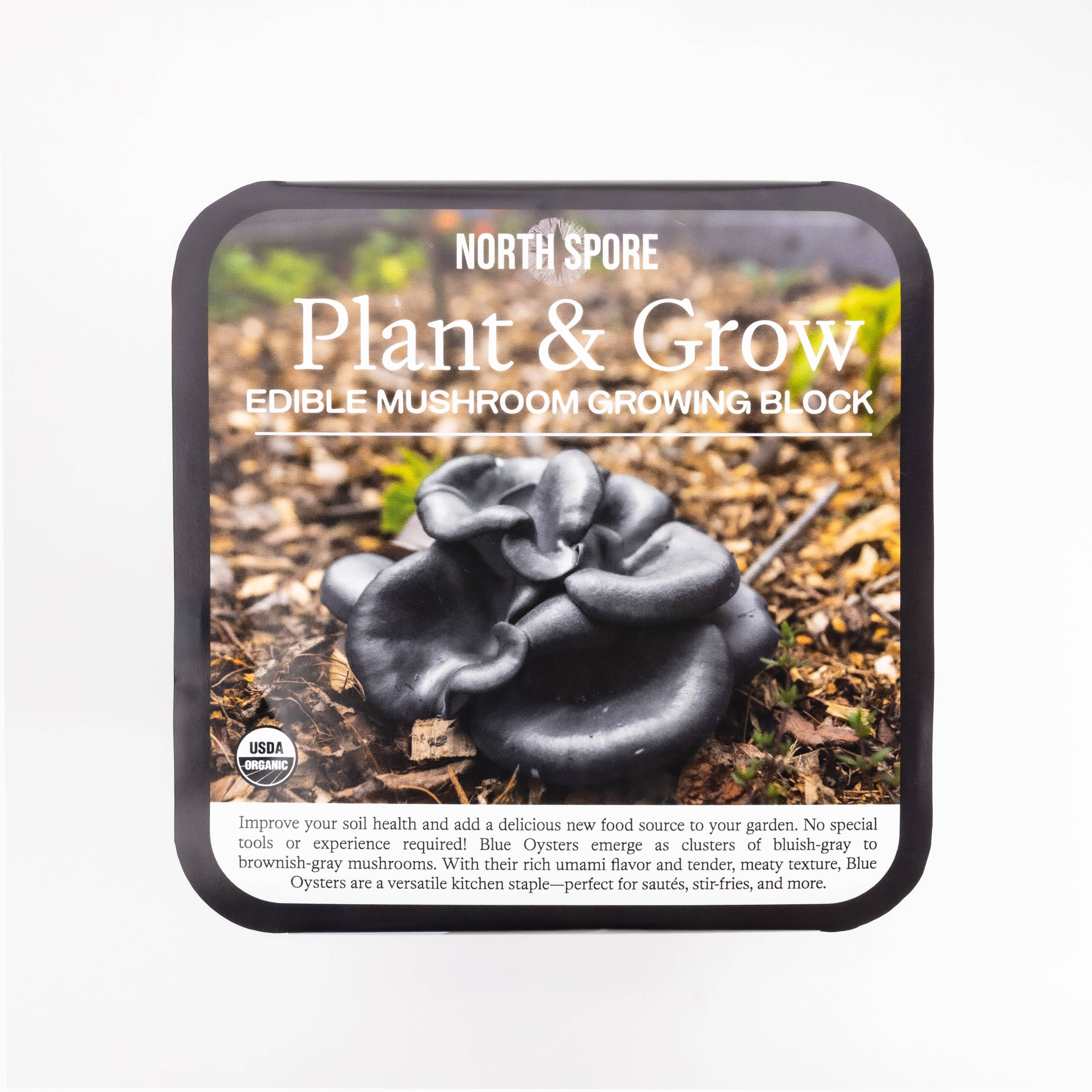 North Spore - Blue Oyster Mushroom Plant & Grow