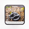 North Spore - Blue Oyster Mushroom Plant & Grow