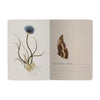 BV by Bruno Visconti - Small Notebook  Symmetrical Flora