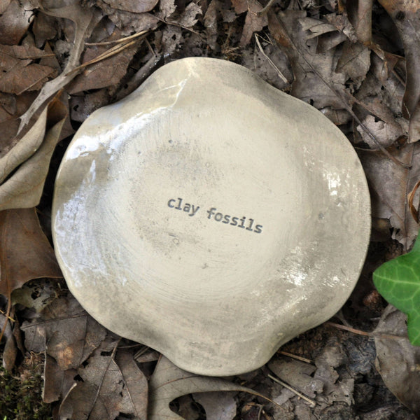 Clay Fossils - Handmade Pottery, Blue Morning Bird, spoon rest, soap dish