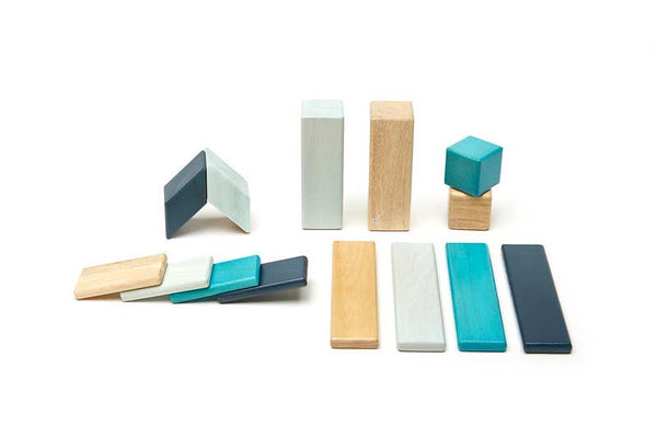 Tegu - 14 Piece Magnetic Wooden Block Set