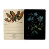 BV by Bruno Visconti - Forest Flowers Notebook