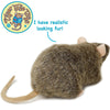 Reuben The Rat | 7 Inch Stuffed Animal Plush
