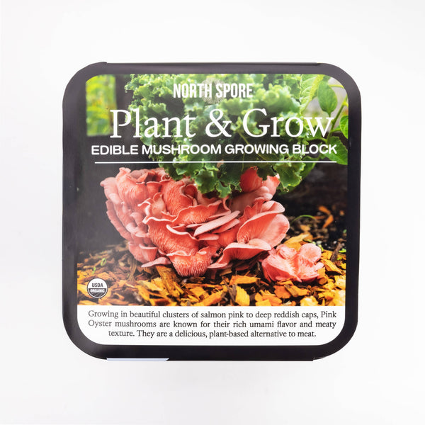 North Spore - Pink Oyster Mushroom Plant & Grow