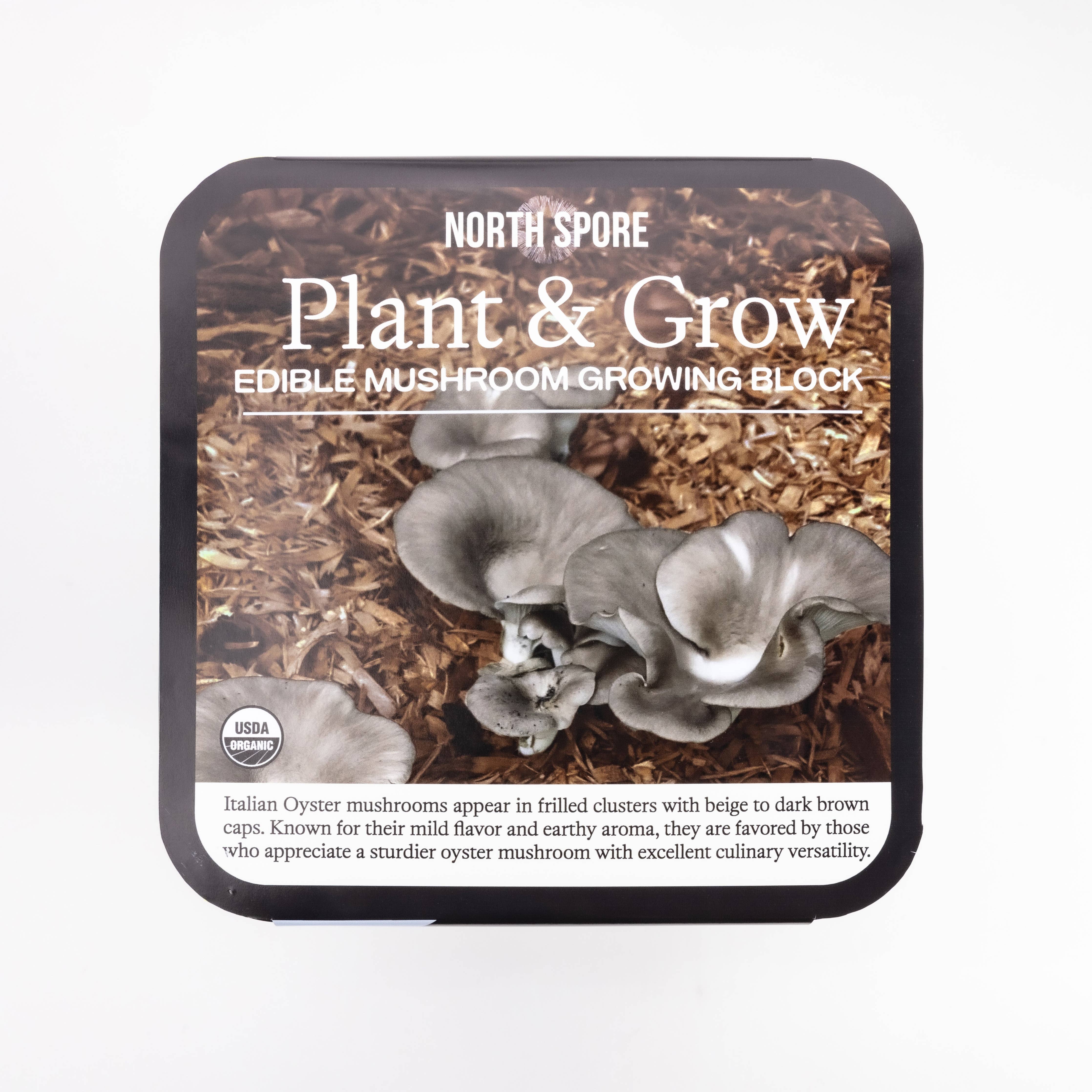 North Spore - Italian Oyster Mushroom Plant & Grow