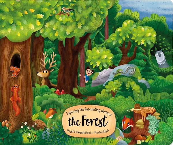 Wellspring - Board Book - World of the Forest