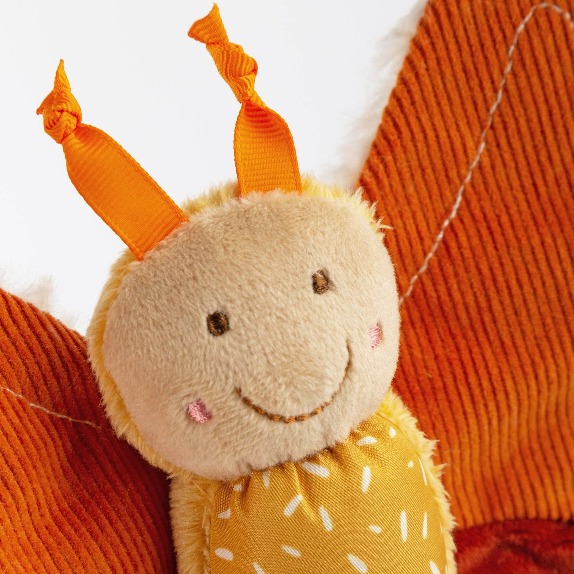 Butterfly Activity Toy
