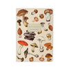 BV by Bruno Visconti - Mushrooms on White 
