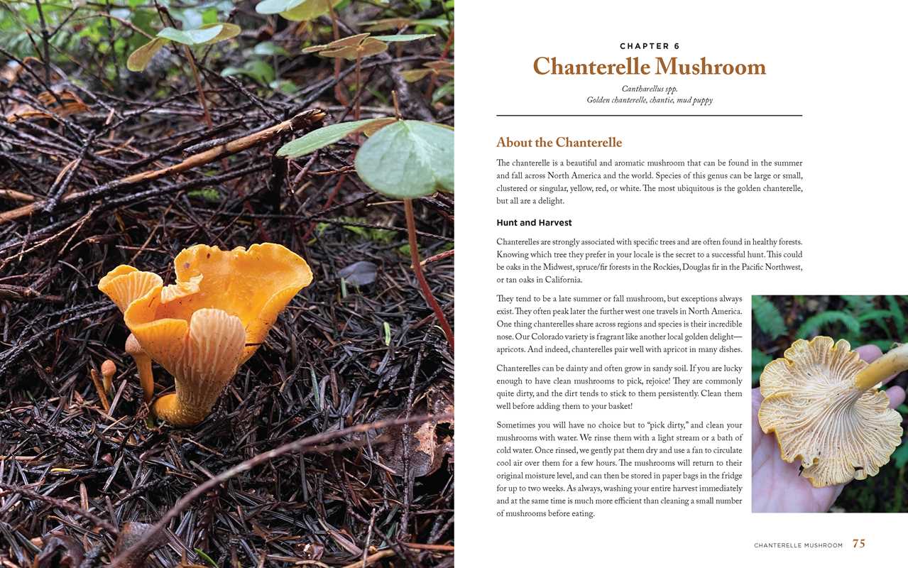 Simon & Schuster - Wild Mushrooms by Kristen Blizzard
