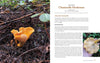 Simon & Schuster - Wild Mushrooms by Kristen Blizzard