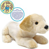 Lorrie the Labrador | 17 Inch Stuffed Animal Plush