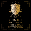 Three Buds Apothecary - Gemini Zodiac Astrology Soy Candle