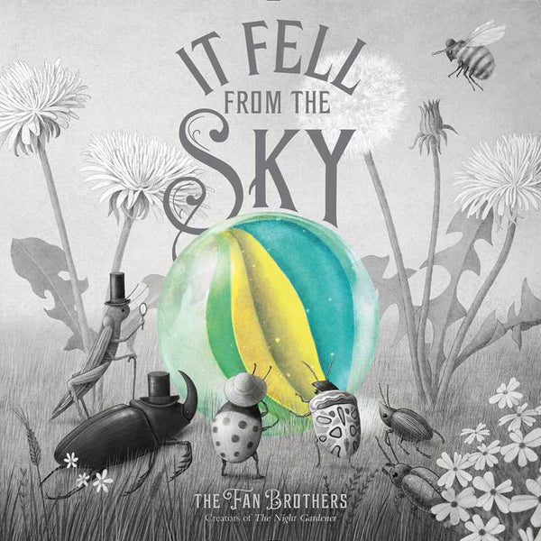 Simon & Schuster - It Fell from the Sky by Terry Fan