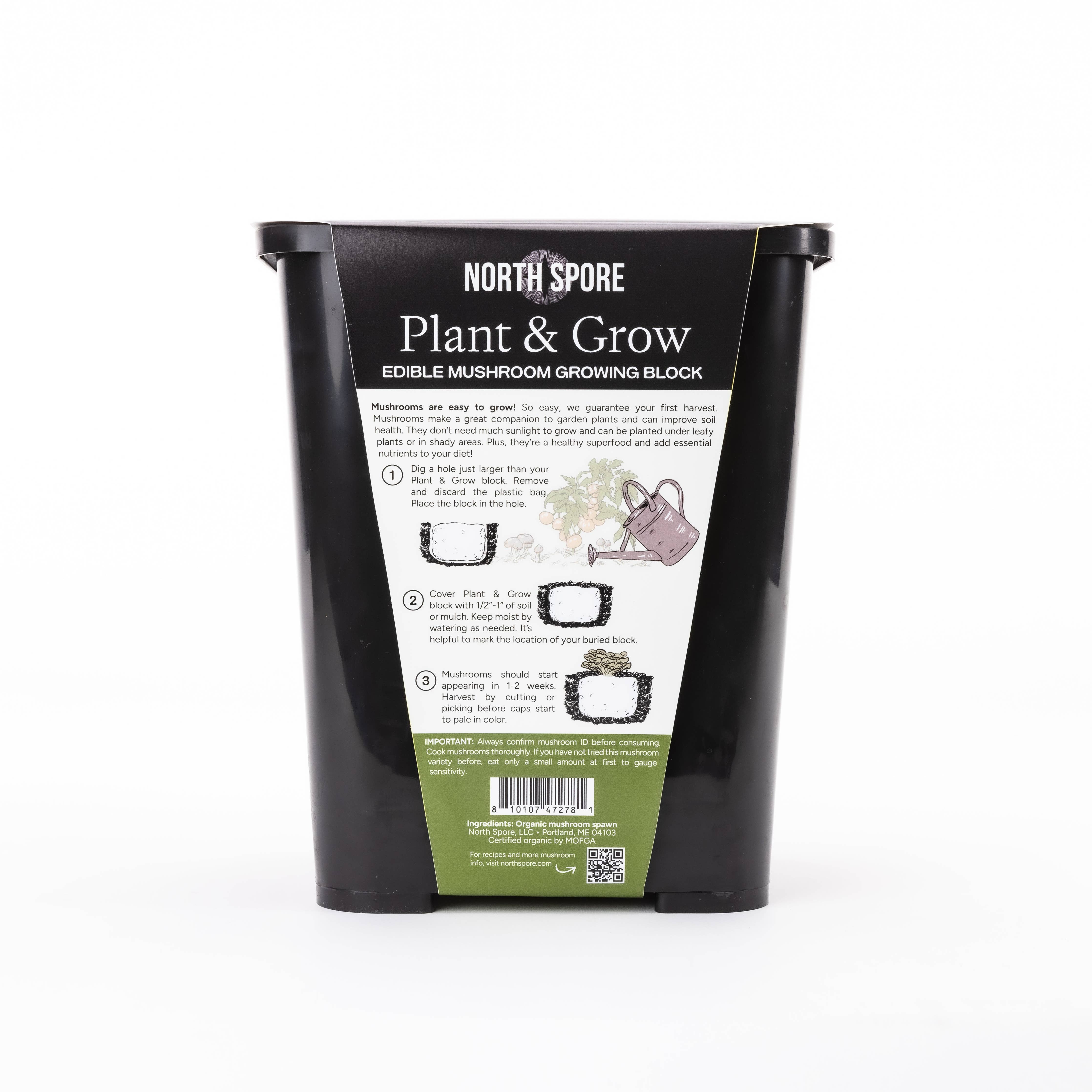 North Spore - Italian Oyster Mushroom Plant & Grow