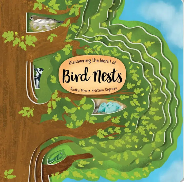 Wellspring - Board Book - Bird Nests