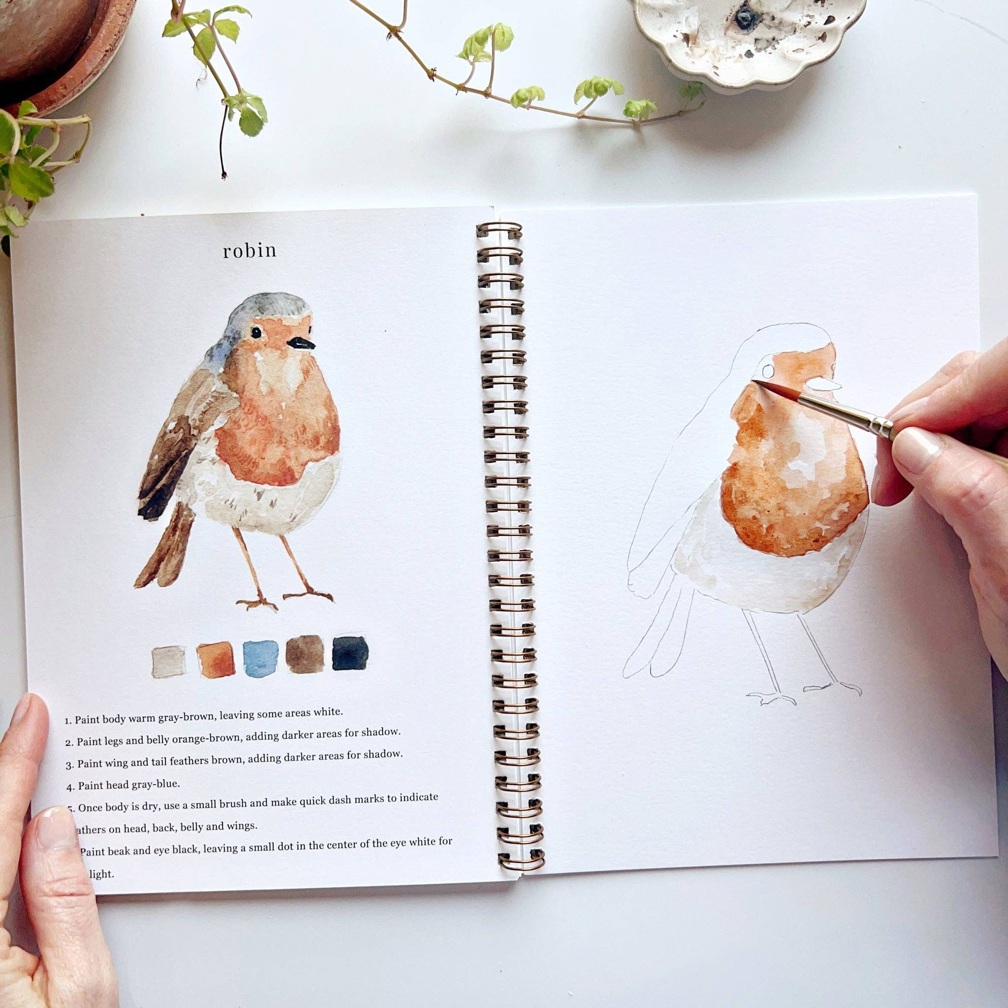 emily lex studio - Birds watercolor workbook