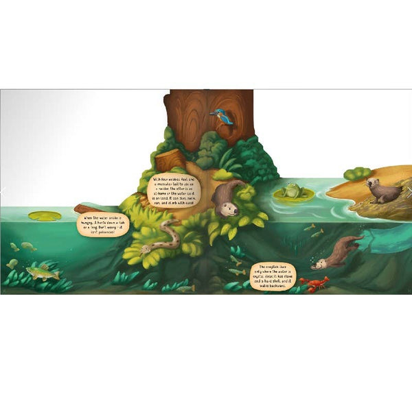 Wellspring - Board Book - The Riverbank Layered