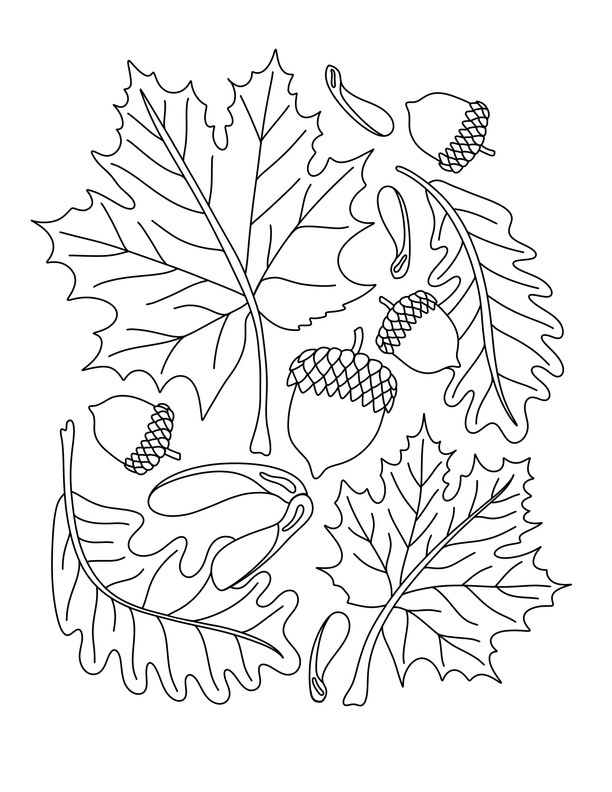 inkpaperfable - 