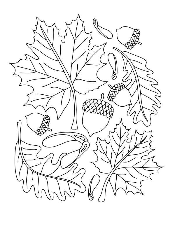 inkpaperfable - "Imagine A Maple Tree" Coloring Book