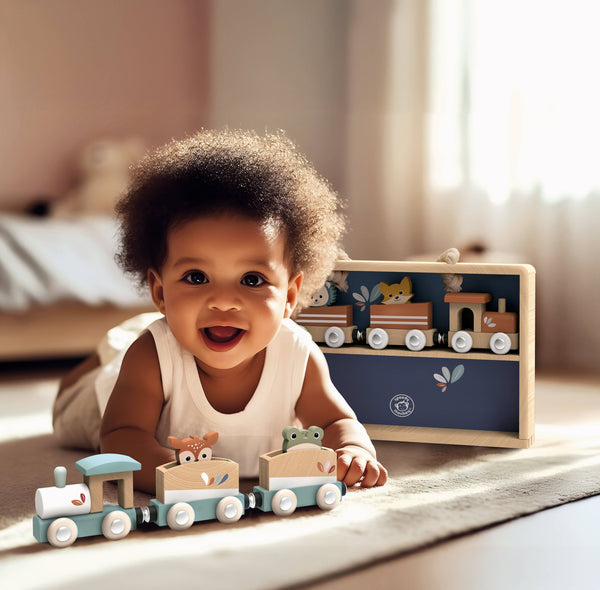 Speedy Monkey - Train Set Display Case