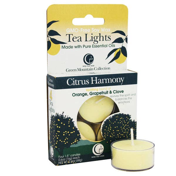 Way Out Wax - Citrus Harmony - Tealight Candle 4-pack