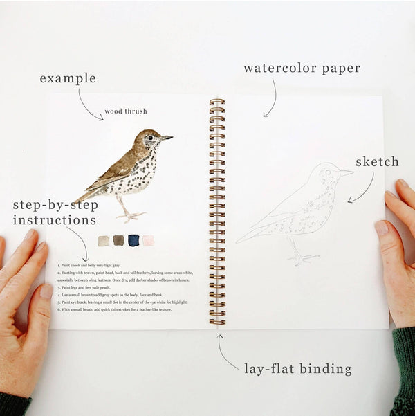 emily lex studio - Birds watercolor workbook