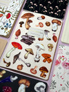 BV by Bruno Visconti - Mushrooms on White 