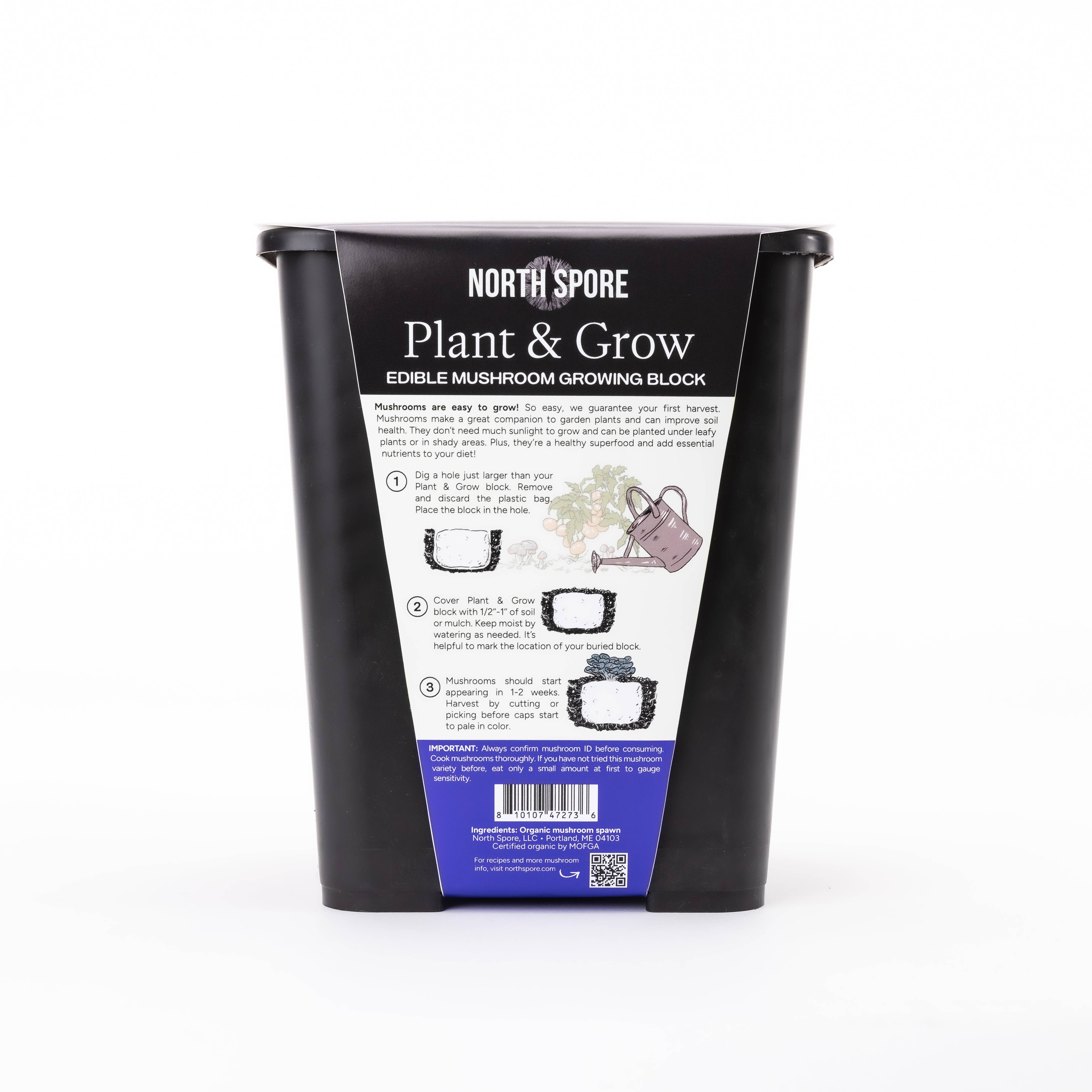 North Spore - Blue Oyster Mushroom Plant & Grow