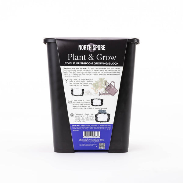 North Spore - Blue Oyster Mushroom Plant & Grow