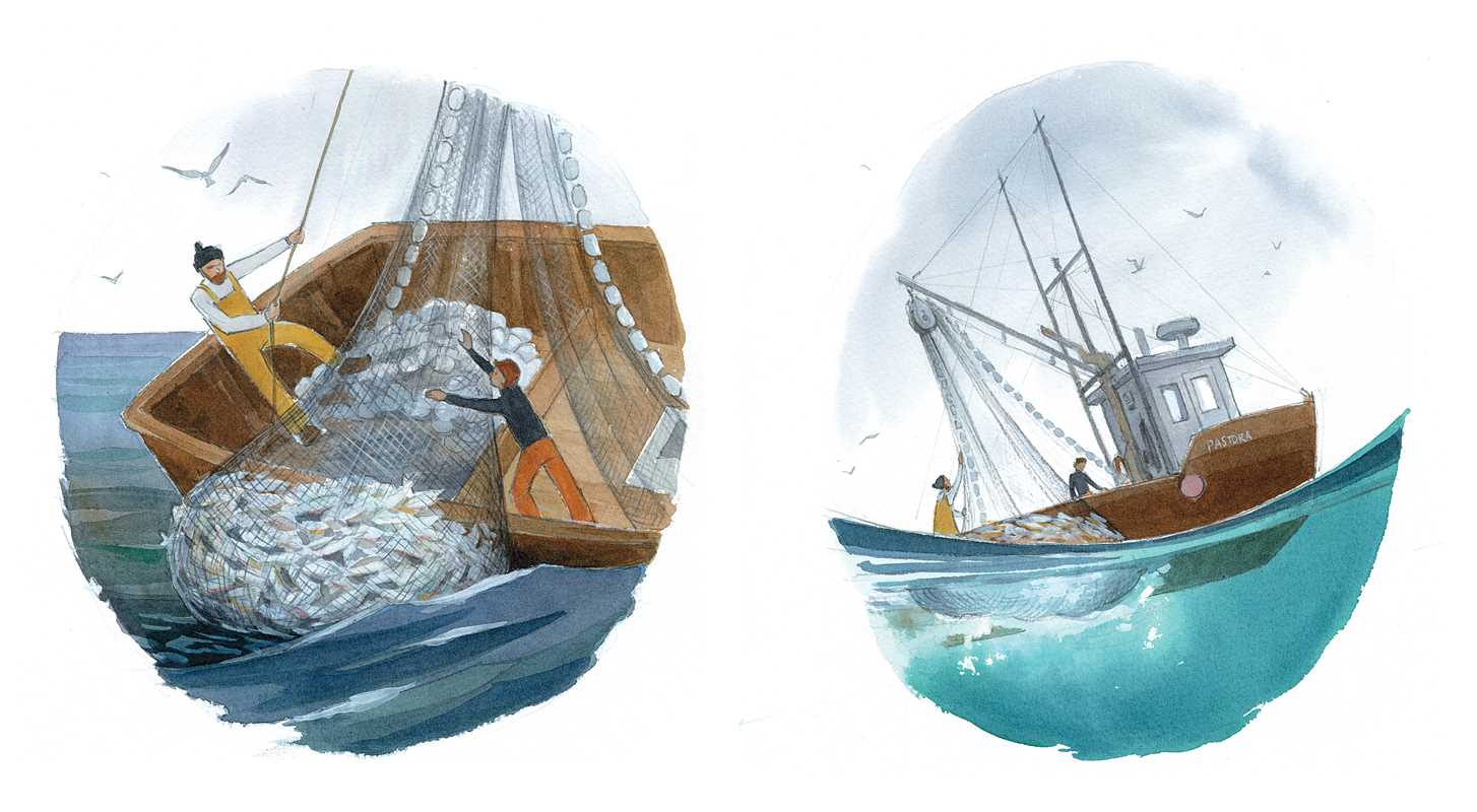 Simon & Schuster - Fisherman & the Whale by Jessica Lanan