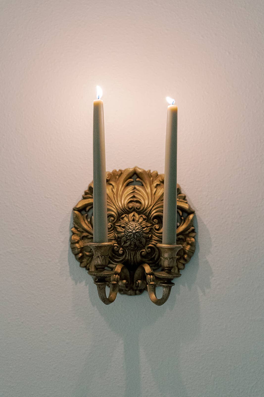 Mo&Co Home - Limited Edition! Bayberry Dipped Taper Candles