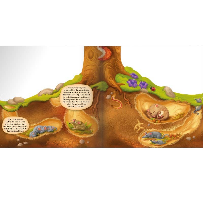 Wellspring - Board Book - Underground Layered