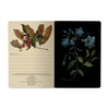 BV by Bruno Visconti - Small Notebook  Forest Flowers 