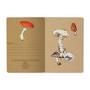 BV by Bruno Visconti - Mushrooms on White 