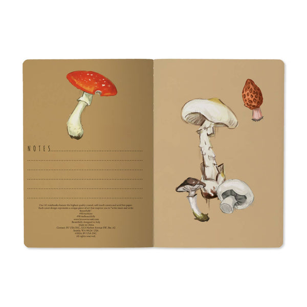BV by Bruno Visconti - Mushrooms on White 