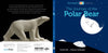 Schiffer Kids - The Journey of the Polar Bear