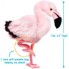 Fay The Flamingo | 13 Inch Stuffed Animal Plush