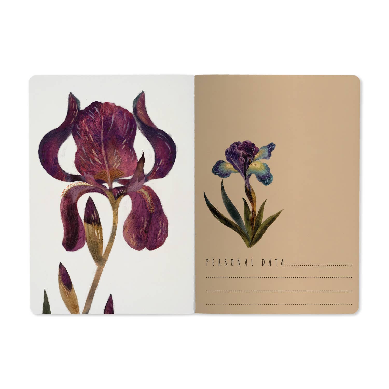 BV by Bruno Visconti - Irises