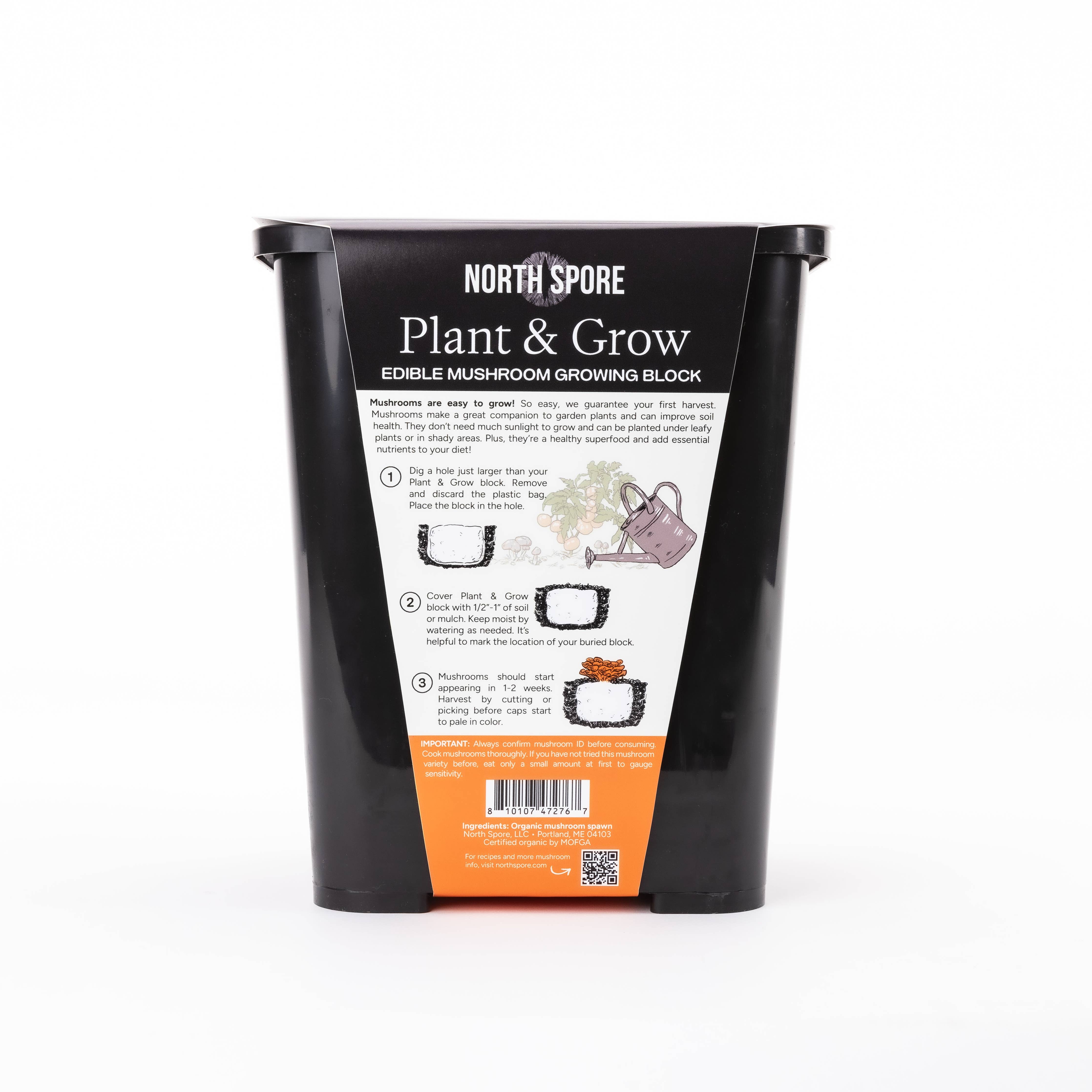 North Spore - Pink Oyster Mushroom Plant & Grow