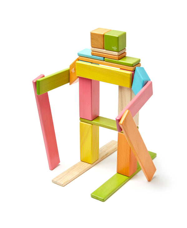 Tegu - 24 Piece Magnetic Wooden Block Set