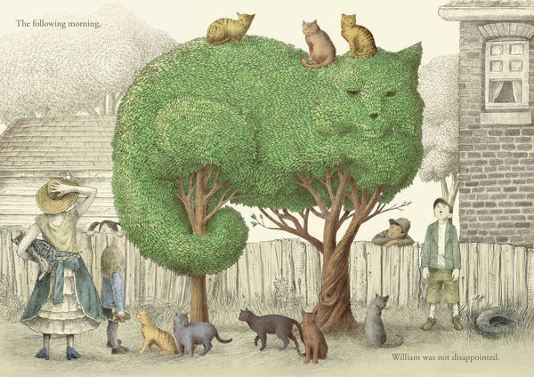 Simon & Schuster - Night Gardener by Terry Fan
