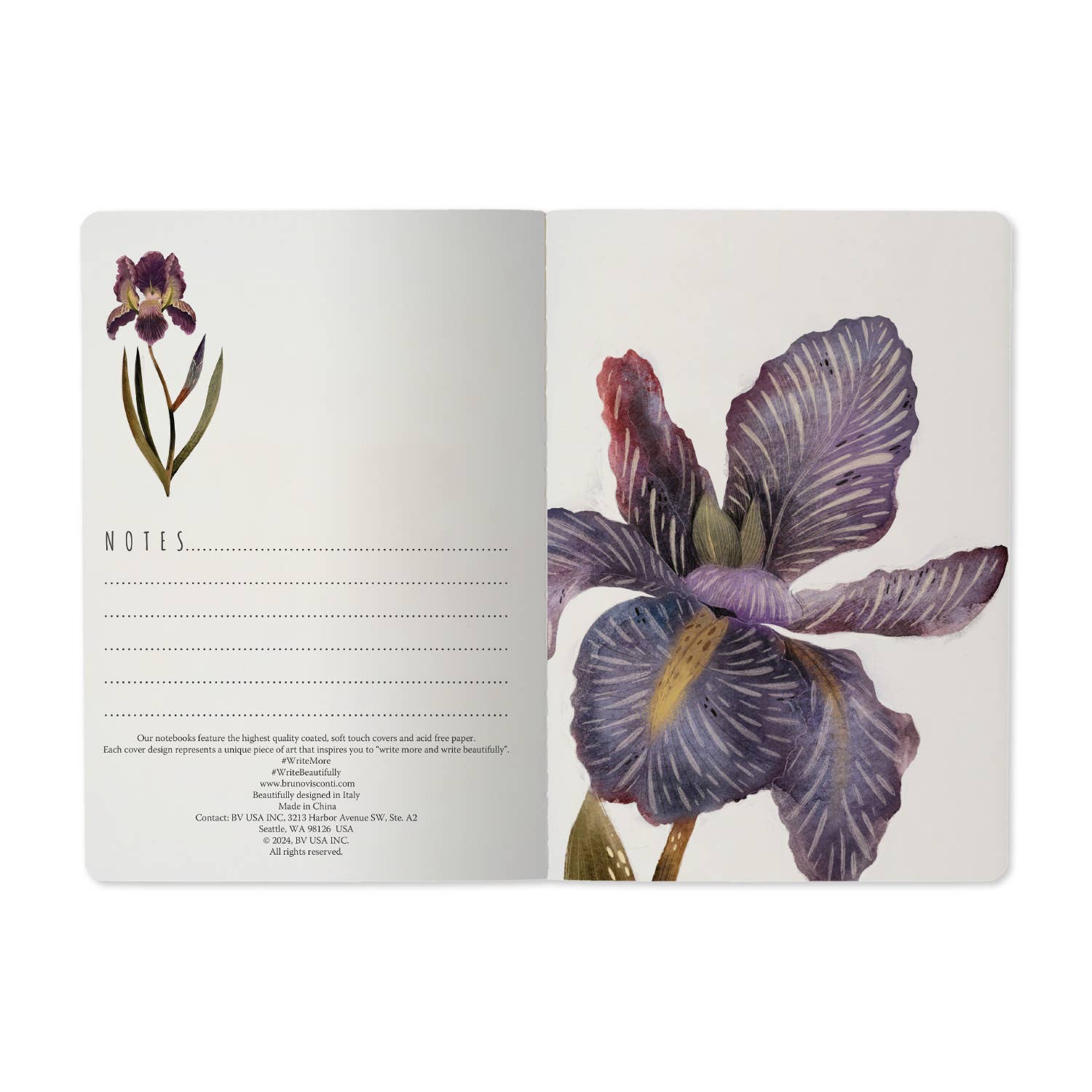 BV by Bruno Visconti - Irises
